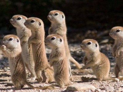 Evolution ou création : science et théisme font-ils bon ménage&nbsp;?