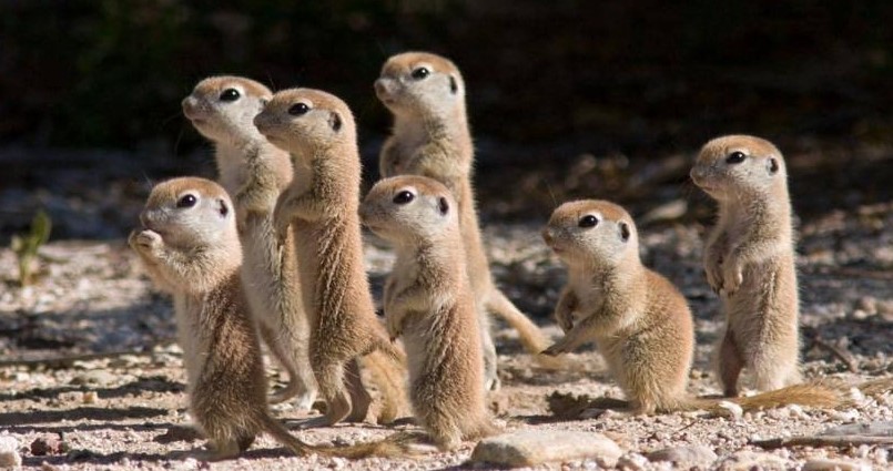 Evolution ou création : science et théisme font-ils bon ménage&nbsp;?